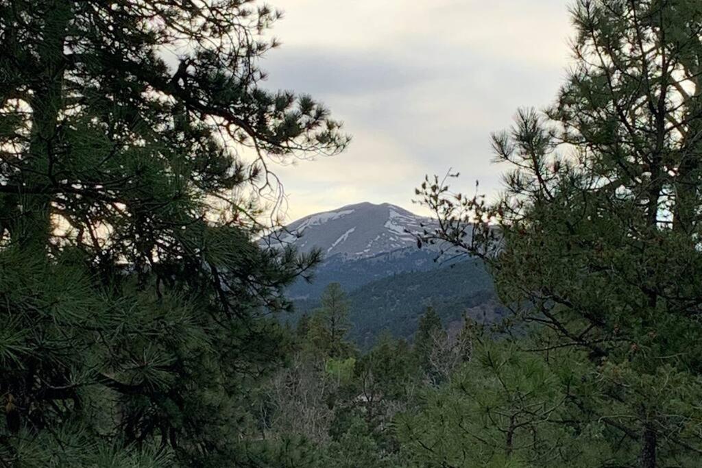Twin Pines Casita - Big Yard, View, Porch, Hot Tub, & Charm Villa Ruidoso Kültér fotó